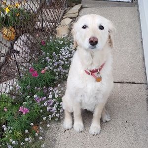 Meet your Posher, Emma